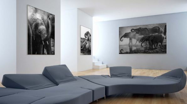 lounge interior with modular gray seating and large black-and-white elephant banners displayed on the walls.